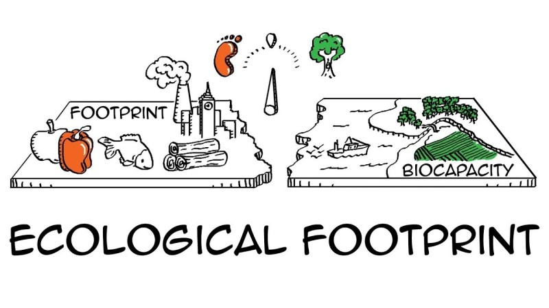 Ecological Footprint La Gi